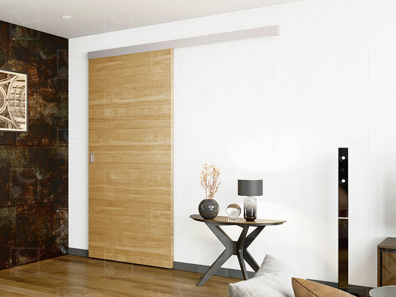 SAF 10-80 - For door from 20 to 180 lbs (10 to 80 kg)